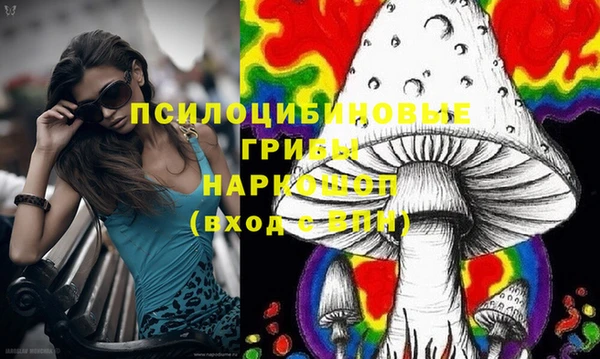 дмт Абинск